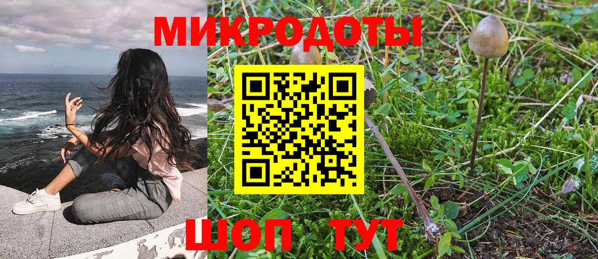 Псилоцибиновые грибы ЛСД Звенигород